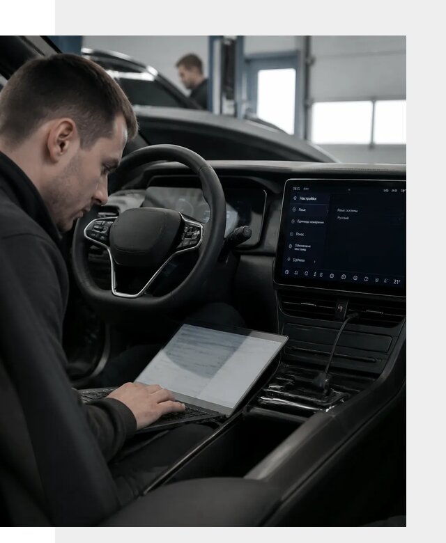 Русификация автомобилей BYD под ключ для всех моделей в Феодосии